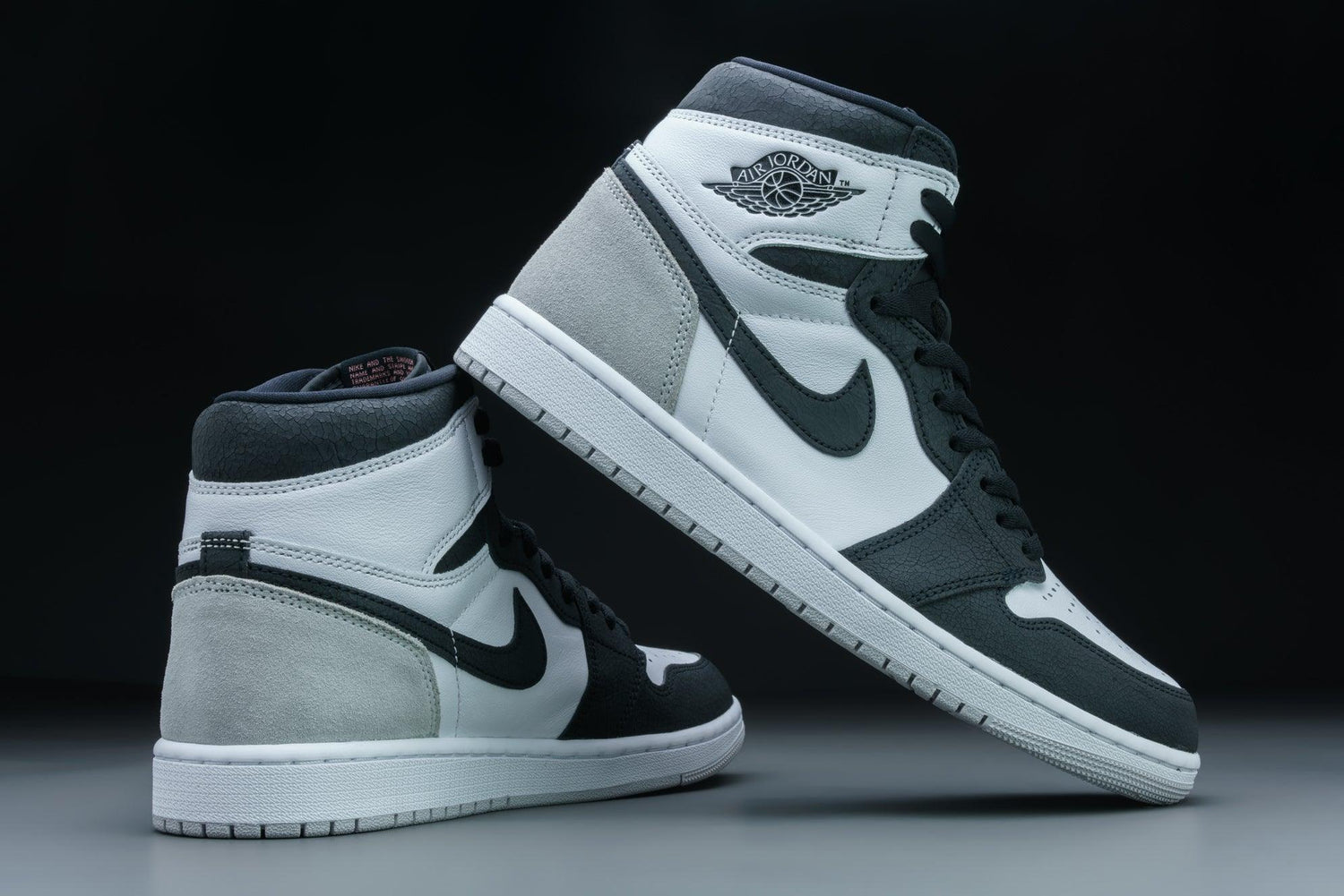 Air Jordan 1 Retro High OG Stage Haze - Lo10M