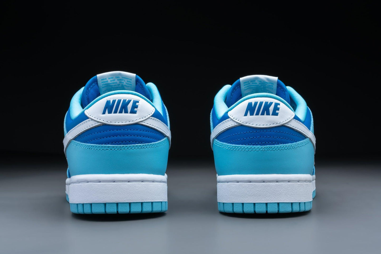 Nike Dunk Low Retro QS Argon (2022) - Lo10M