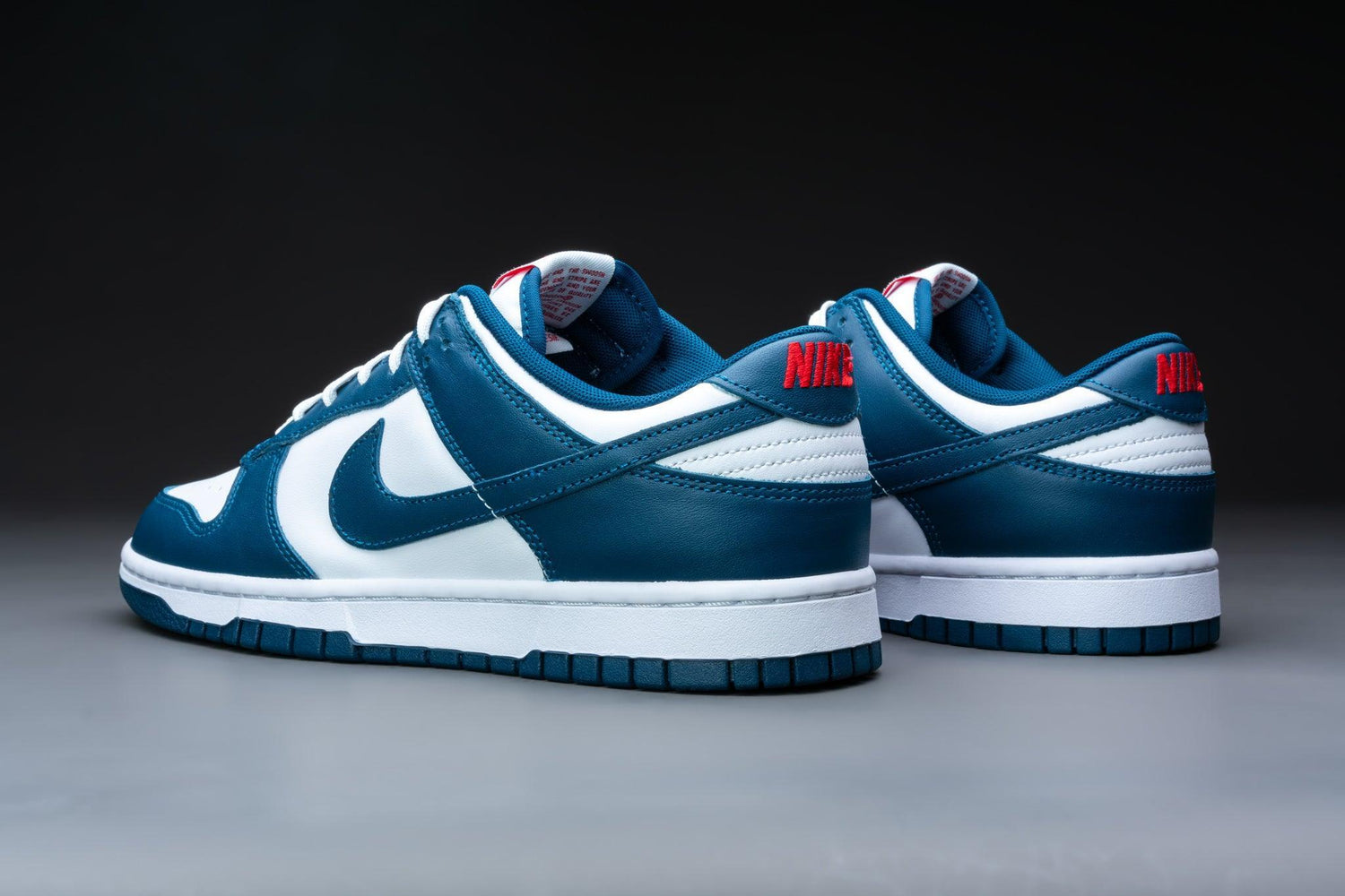 Nike Dunk Low Valerian Blue - Lo10M